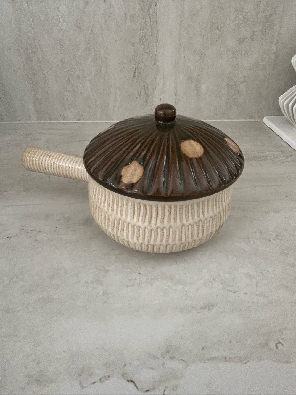 Super Cute Mushroom Ceramic Lidded Soup Pot Textured Ceramic Pot